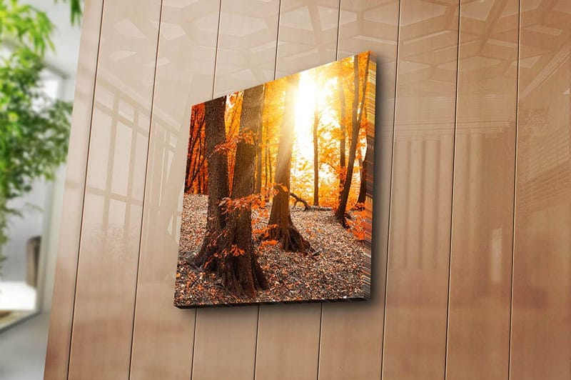 Canvastavla Flerfärgad - 45x45 cm - Inredning & dekor - Tavlor & konst - Canvastavla