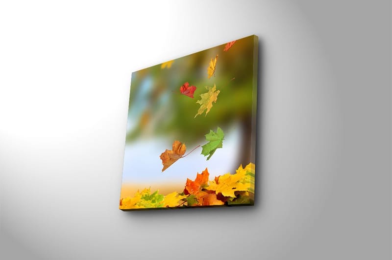 Canvastavla Flerfärgad - 45x45 cm - Inredning & dekor - Tavlor & konst - Canvastavla