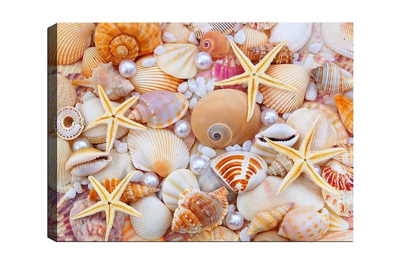 Canvastavla Flerfärgad - 50x70 cm - Inredning & dekor - Tavlor & konst - Canvastavla