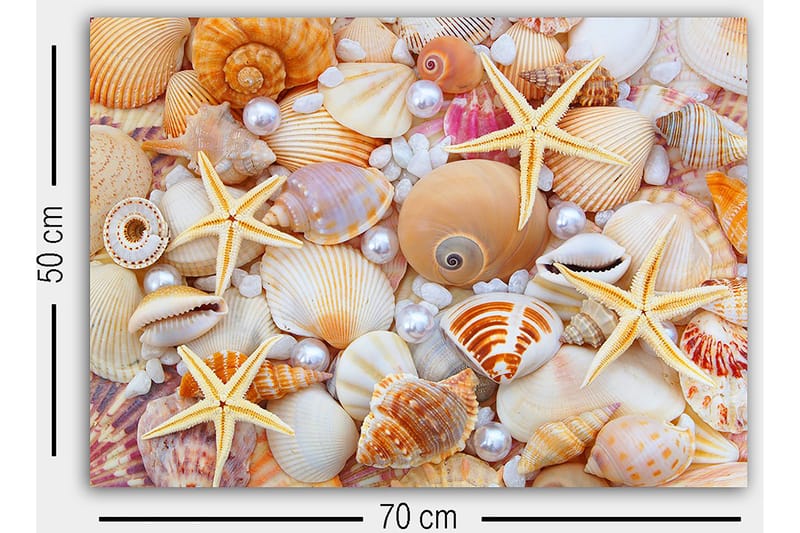 Canvastavla Flerfärgad - 50x70 cm - Inredning & dekor - Tavlor & konst - Canvastavla