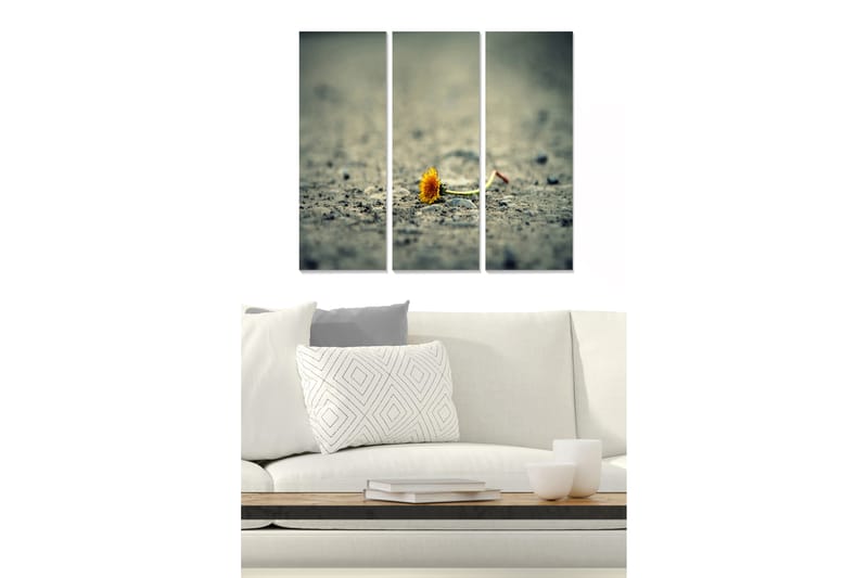 CANVASTAVLA Floral 3-pack Flerfärgad 20x50 cm - Inredning & dekor - Tavlor & konst - Canvastavla