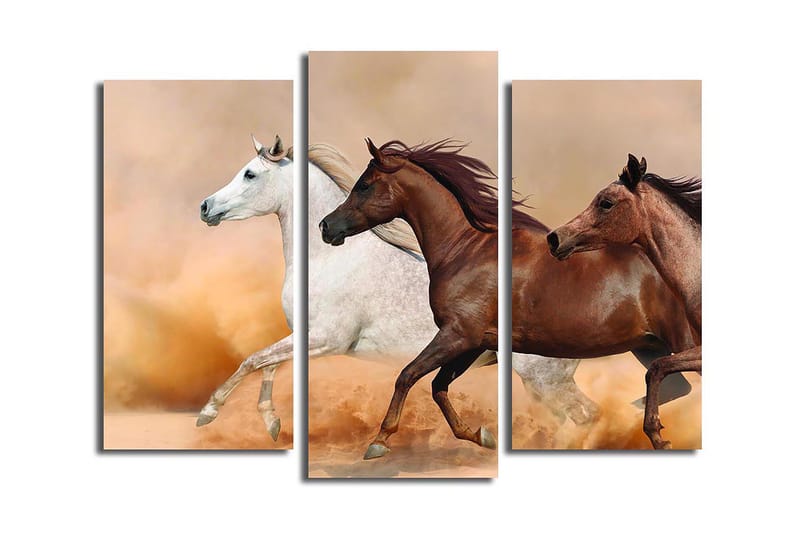 CANVASTAVLA Floral 3-pack Flerfärgad 20x39 cm - Inredning & dekor - Tavlor & konst - Canvastavla