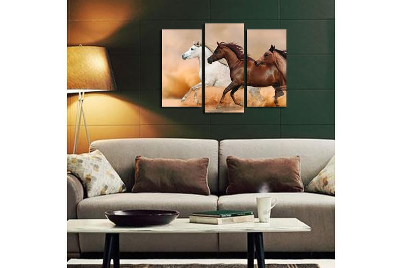 CANVASTAVLA Floral 3-pack Flerfärgad 20x39 cm - Inredning & dekor - Tavlor & konst - Canvastavla