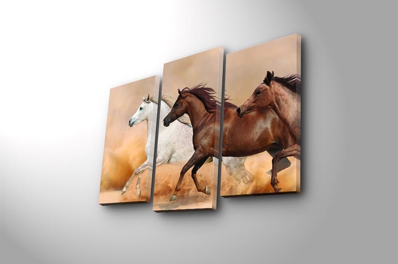 CANVASTAVLA Floral 3-pack Flerfärgad 20x39 cm - Inredning & dekor - Tavlor & konst - Canvastavla