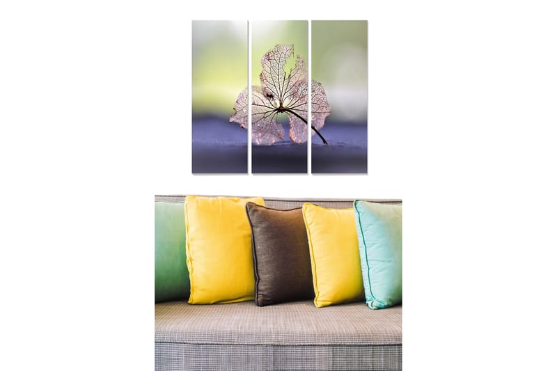 CANVASTAVLA Floral 3-pack Flerfärgad 20x50 cm - Inredning & dekor - Tavlor & konst - Canvastavla