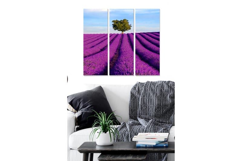 CANVASTAVLA Floral 3-pack Flerfärgad 20x50 cm - Inredning & dekor - Tavlor & konst - Canvastavla