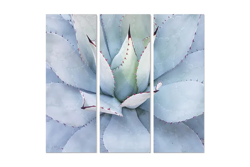 Canvastavla Floral 3-pack Flerfärgad, 20x50 cm