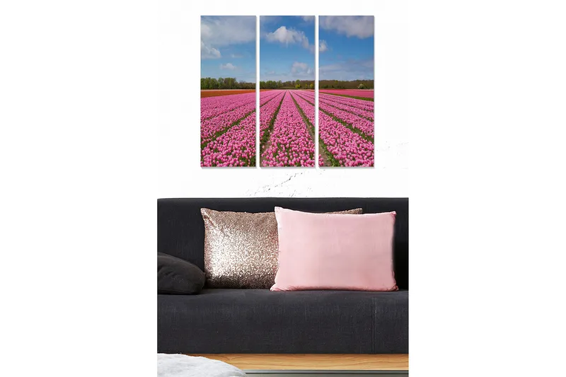 Canvastavla Floral 3-pack Flerfärgad, 20x50 cm