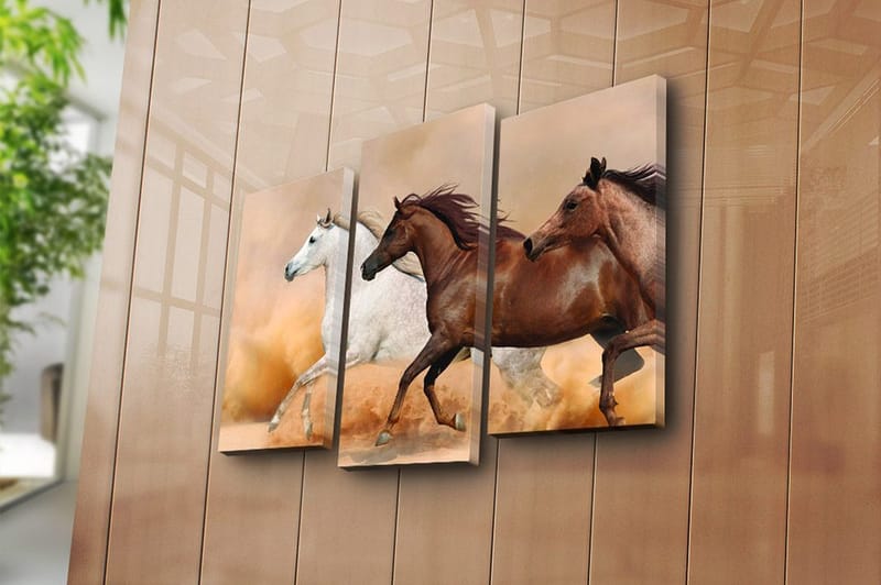 Canvastavla Floral 3-pack Flerfärgad - 20x39 cm - Inredning & dekor - Tavlor & konst - Canvastavla