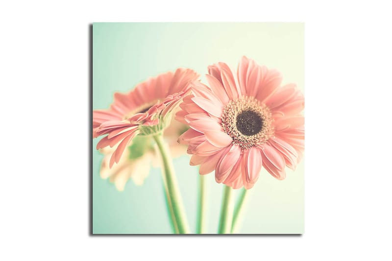 CANVASTAVLA Floral Flerfärgad 45x45 cm - Inredning & dekor - Tavlor & konst - Canvastavla