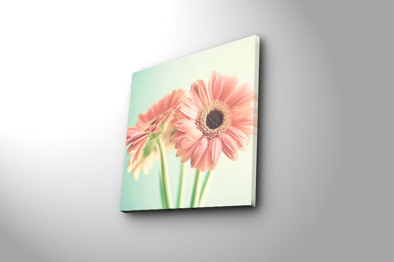 CANVASTAVLA Floral Flerfärgad 45x45 cm - Inredning & dekor - Tavlor & konst - Canvastavla