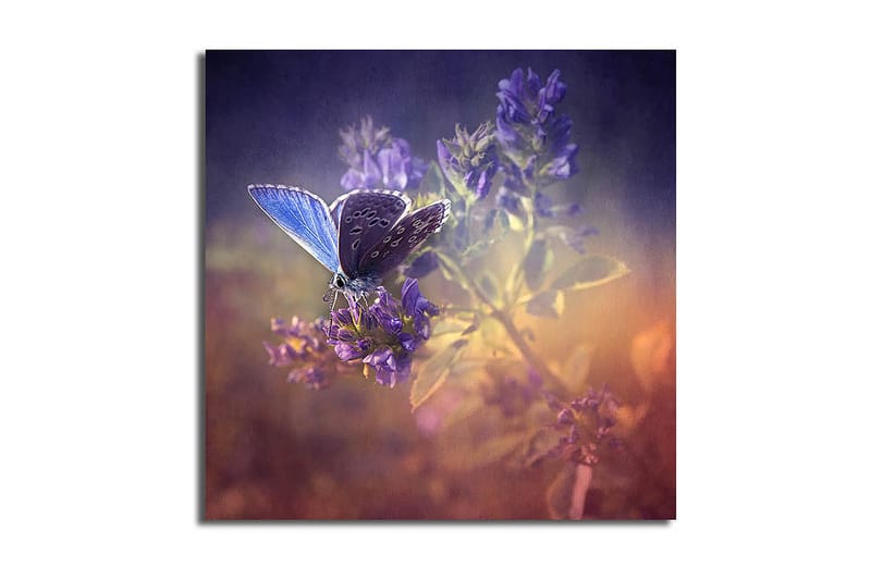 CANVASTAVLA Floral Flerfärgad 45x45 cm - Inredning & dekor - Tavlor & konst - Canvastavla