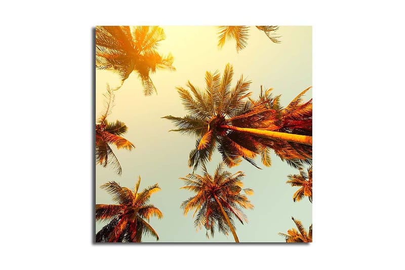 CANVASTAVLA Floral Flerfärgad 45x45 cm - Inredning & dekor - Tavlor & konst - Canvastavla