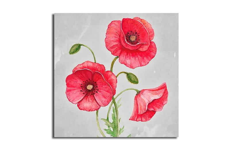 CANVASTAVLA Floral Flerfärgad 45x45 cm - Inredning & dekor - Tavlor & konst - Canvastavla