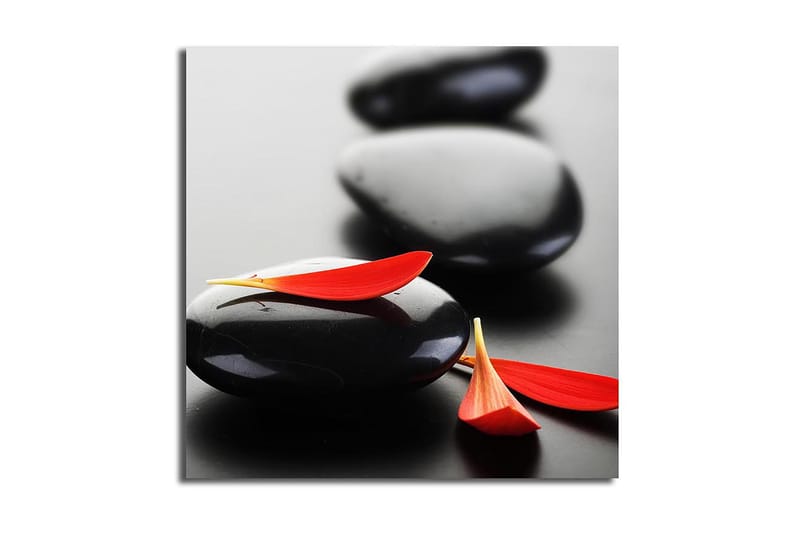 Canvastavla Floral Flerfärgad, 45x45 cm