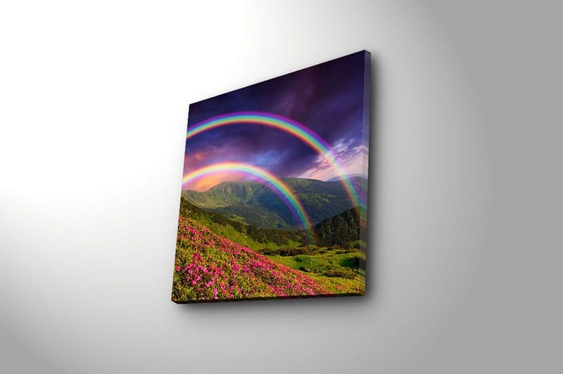 Canvastavla Floral Flerfärgad - 45x45 cm - Inredning & dekor - Tavlor & konst - Canvastavla