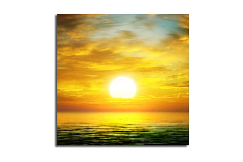 Canvastavla Floral Flerfärgad, 45x45 cm