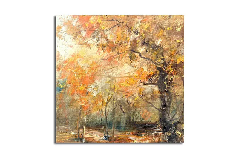 Canvastavla Floral Flerfärgad, 45x45 cm