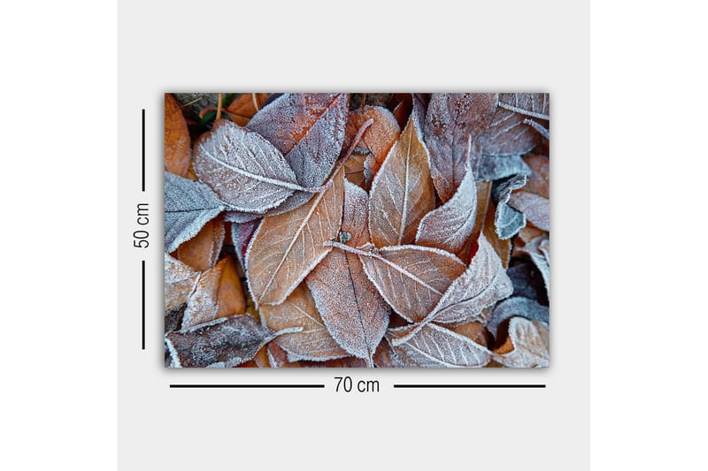 Canvastavla - Frostiga höstlöv i varma nyanser - Orange / Grå / Vit - Inredning & dekor - Tavlor & konst - Canvastavla