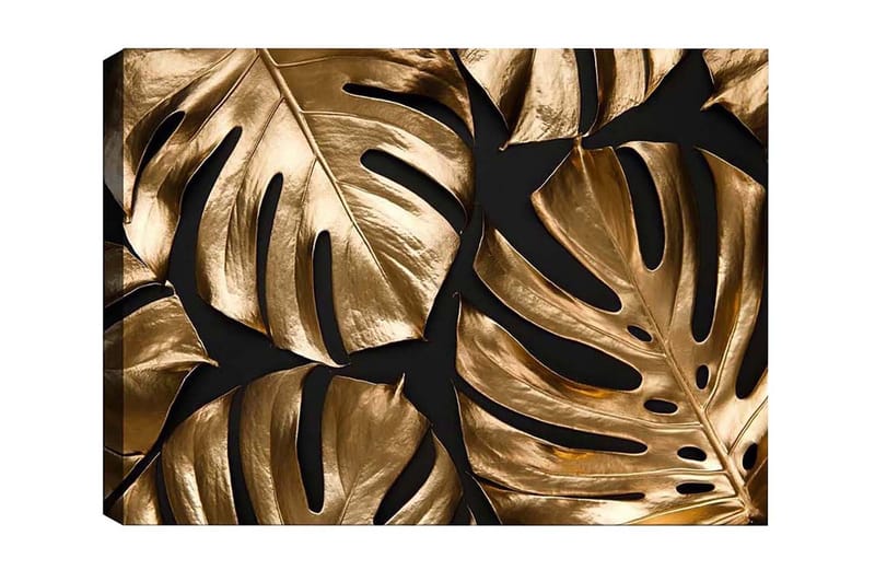 Canvastavla - Glänsande monstera-blad i guldtoner, Guld / Svart