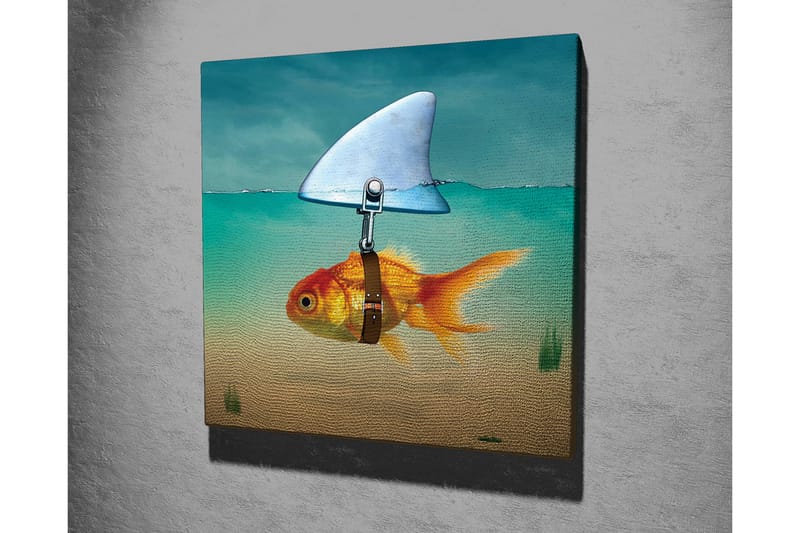 Canvastavla - Guldfisk med simfena som simmar i klart vatten - Turkos / Orange / Beige - Inredning & dekor - Tavlor & konst - Canvastavla