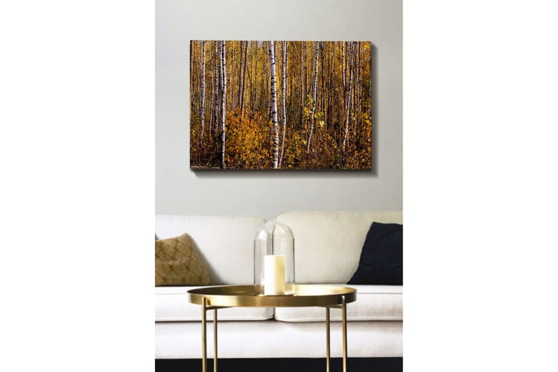 Canvastavla - Gyllene höstskog med björkar - Gult / Vitt / Brunt - Inredning & dekor - Tavlor & konst - Canvastavla