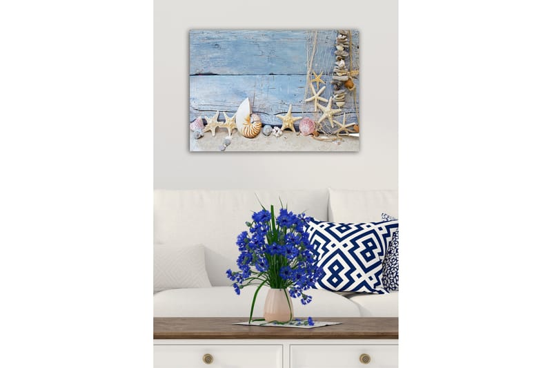 Canvastavla - Havsinspirerad samling av snäckor och sjöstjärnor - Blå / Beige / Vit - Inredning & dekor - Tavlor & konst - Canvastavla