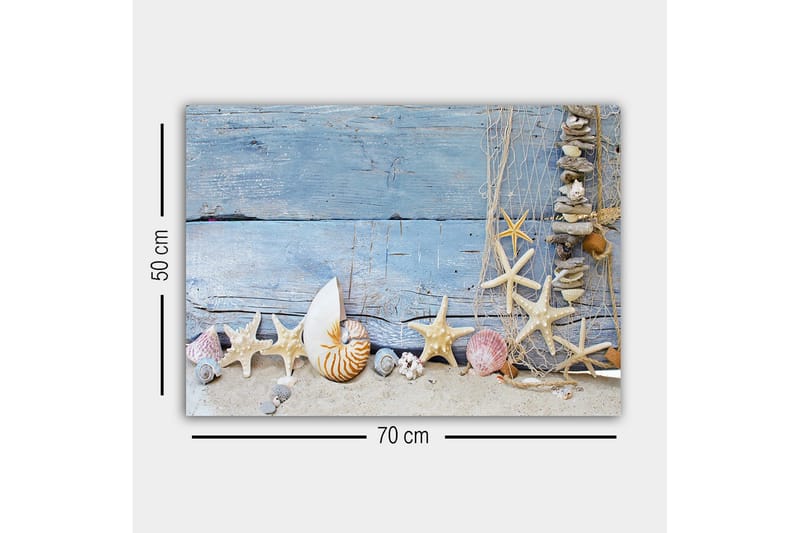 Canvastavla - Havsinspirerad samling av snäckor och sjöstjärnor - Blå / Beige / Vit - Inredning & dekor - Tavlor & konst - Canvastavla