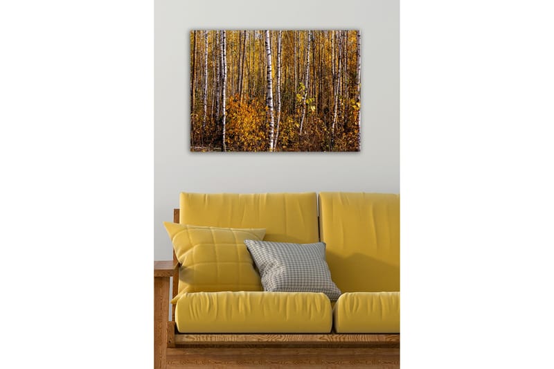 Canvastavla - Höstlig skog med björkar och gyllene löv - Guld / Vit / Brun - Inredning & dekor - Tavlor & konst - Canvastavla