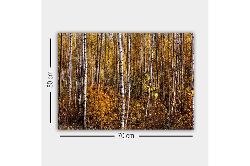 Canvastavla - Höstlig skog med björkar och gyllene löv - Guld / Vit / Brun - Inredning & dekor - Tavlor & konst - Canvastavla