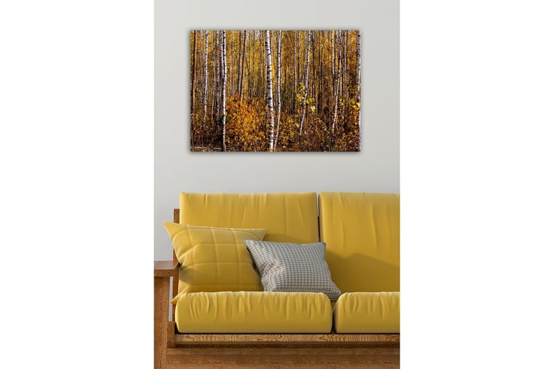 Canvastavla - Höstlig skog med björkar och gyllene löv - Guld / Vit / Brun - Inredning & dekor - Tavlor & konst - Canvastavla
