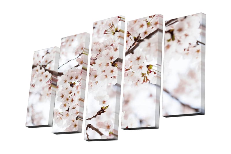 Canvastavla i 5 delar 82x50 cm - Blomstrande körsbärsträd i vårens ljus - Ljusrosa / Vit / Grön - Inredning & dekor - Tavlor & konst - Canvastavla