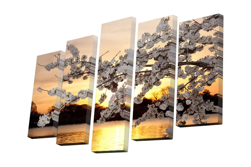 Canvastavla i 5 delar 82x50 cm - Vacker körsbärsblomma vid solnedgången, Vit / Orange / Gul