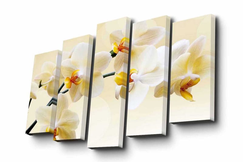 Canvastavla i 5 delar 82x50 cm - Vacker orkidé i mjuka nyanser - Vit / Gul - Inredning & dekor - Tavlor & konst - Canvastavla