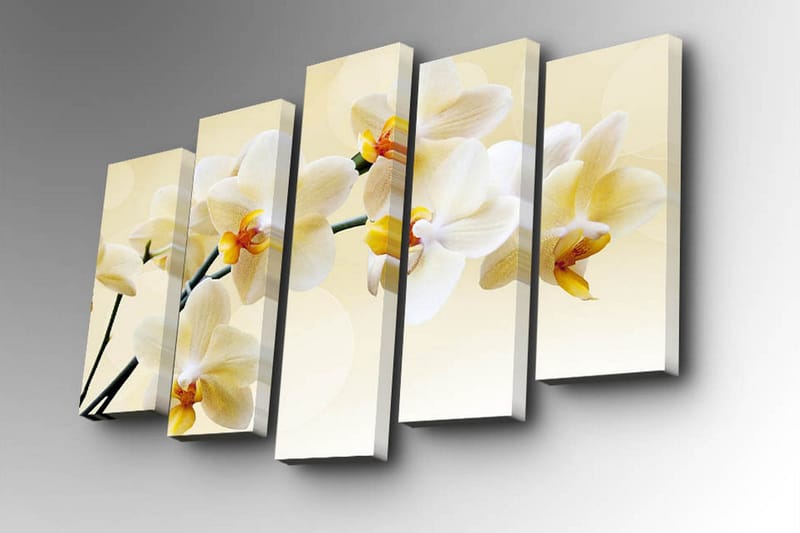 Canvastavla i 5 delar 82x50 cm - Vacker orkidé i mjuka nyanser - Vit / Gul - Inredning & dekor - Tavlor & konst - Canvastavla