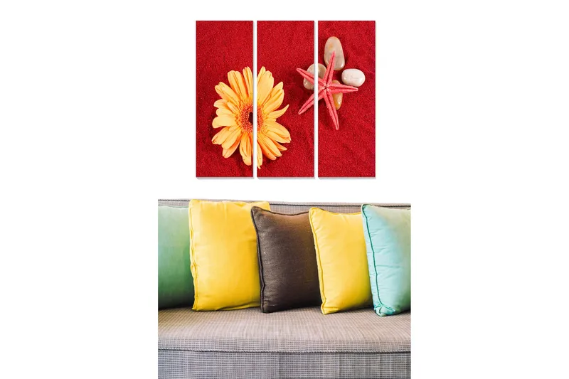 Canvastavla i trä 3-delar 50x70 cm - Färgglad komposition med en blomma och snäckor på röd bakgrund, Röd / Gul / Beige