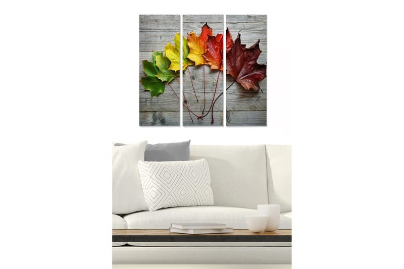 Canvastavla i trä 3-delar 50x70 cm - Färgglada höstlöv på en träyta, Grön / Gul / Röd