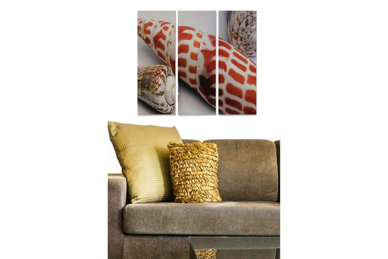 Canvastavla i trä 3-delar 50x70 cm - Färgglada snäckor i detaljrik komposition - Röd / Beige / Brun - Inredning & dekor - Tavlor & konst - Canvastavla