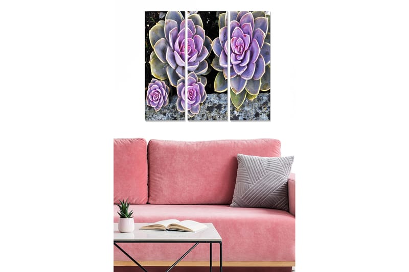 Canvastavla i trä 3-delar 50x70 cm - Färgglada suckulenter i olika nyanser, Lila / Grön / Grå