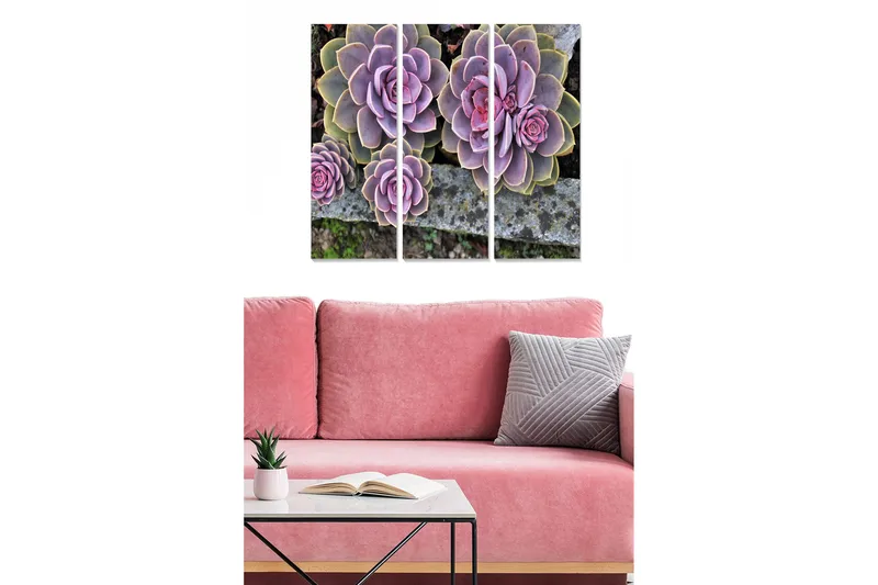 Canvastavla i trä 3-delar 50x70 cm - Färgglada suckulenter i olika nyanser, Lila / Grön / Rosa