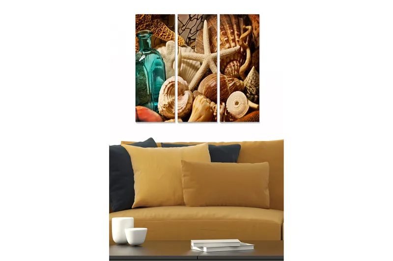 Canvastavla i trä 3-delar 50x70 cm - Havsinspirerad samling av snäckor och strandföremål, Turkos / Beige / Brun