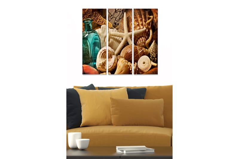 Canvastavla i trä 3-delar 50x70 cm - Havsinspirerad samling av snäckor och strandföremål - Turkos / Beige / Brun - Inredning & dekor - Tavlor & konst - Canvastavla