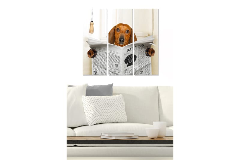 Canvastavla i trä 3-delar 50x70 cm - Hund som läser tidningen med nyfikenhet - Brun / Svart / Vit - Inredning & dekor - Tavlor & konst - Canvastavla