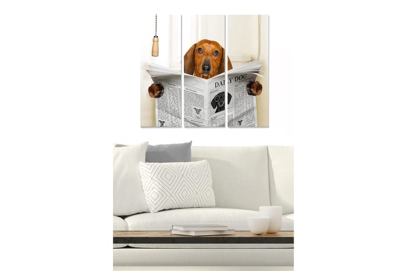 Canvastavla i trä 3-delar 50x70 cm - Hund som läser tidningen med nyfikenhet - Brun / Svart / Vit - Inredning & dekor - Tavlor & konst - Canvastavla