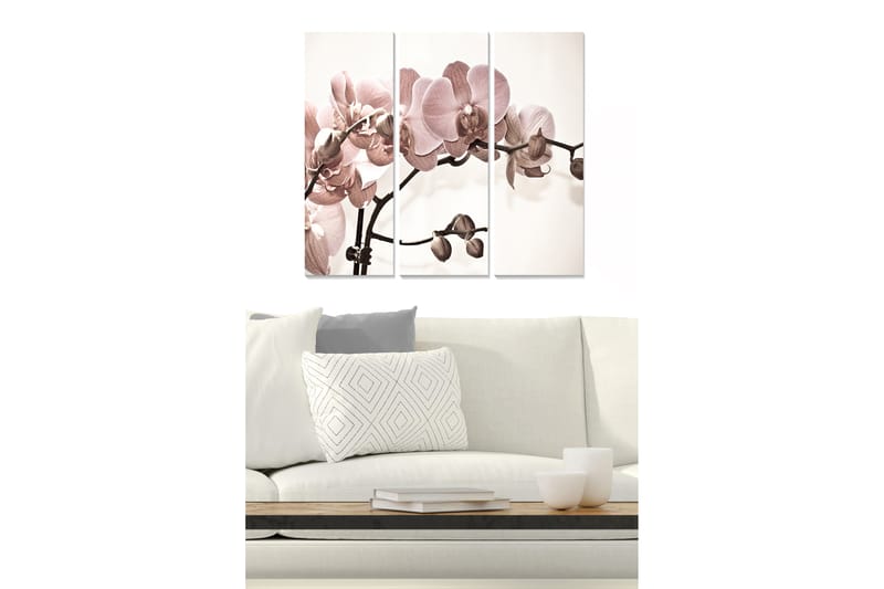 Canvastavla i trä 3-delar 50x70 cm - Ljusrosa orkidéer på en stilren bakgrund, Ljusrosa / Beige / Brun