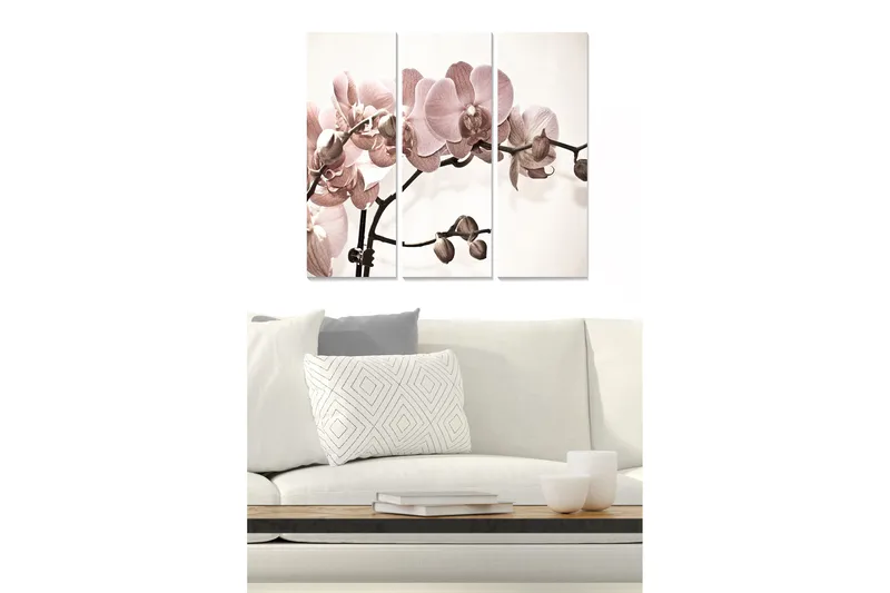 Canvastavla i trä 3-delar 50x70 cm - Ljusrosa orkidéer på en stilren bakgrund, Ljusrosa / Beige / Brun