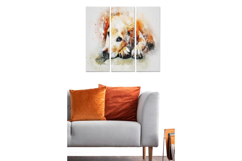 Canvastavla i trä 3-delar 50x70 cm - Lugn hund som vilar med huvudet på sina tassar - Orange / Vit / Svart - Inredning & dekor - Tavlor & konst - Canvastavla