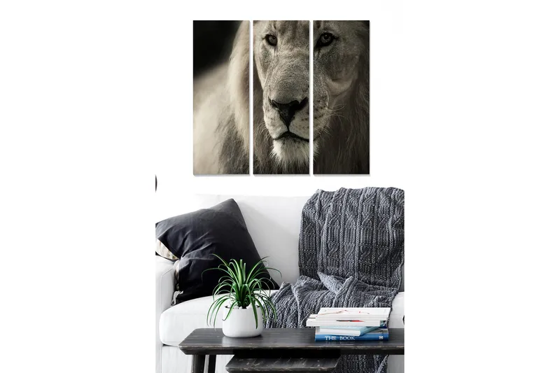 Canvastavla i trä 3-delar 50x70 cm - Majestätisk lejonhuvud i närbild - Grå / Beige / Svart - Inredning & dekor - Tavlor & konst - Canvastavla