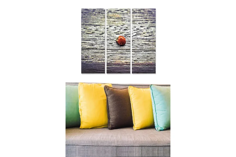 Canvastavla i trä 3-delar 50x70 cm - Nyckelpiga på en träyta - Röd / Grå / Brun - Inredning & dekor - Tavlor & konst - Canvastavla