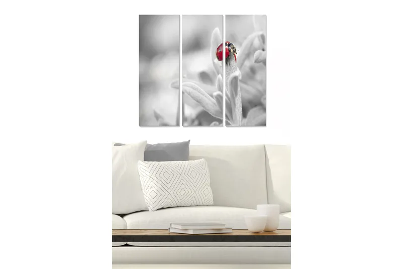 Canvastavla i trä 3-delar 50x70 cm - Röd nyckelpiga på en grön växt - Röd / Grön / Svart - Inredning & dekor - Tavlor & konst - Canvastavla